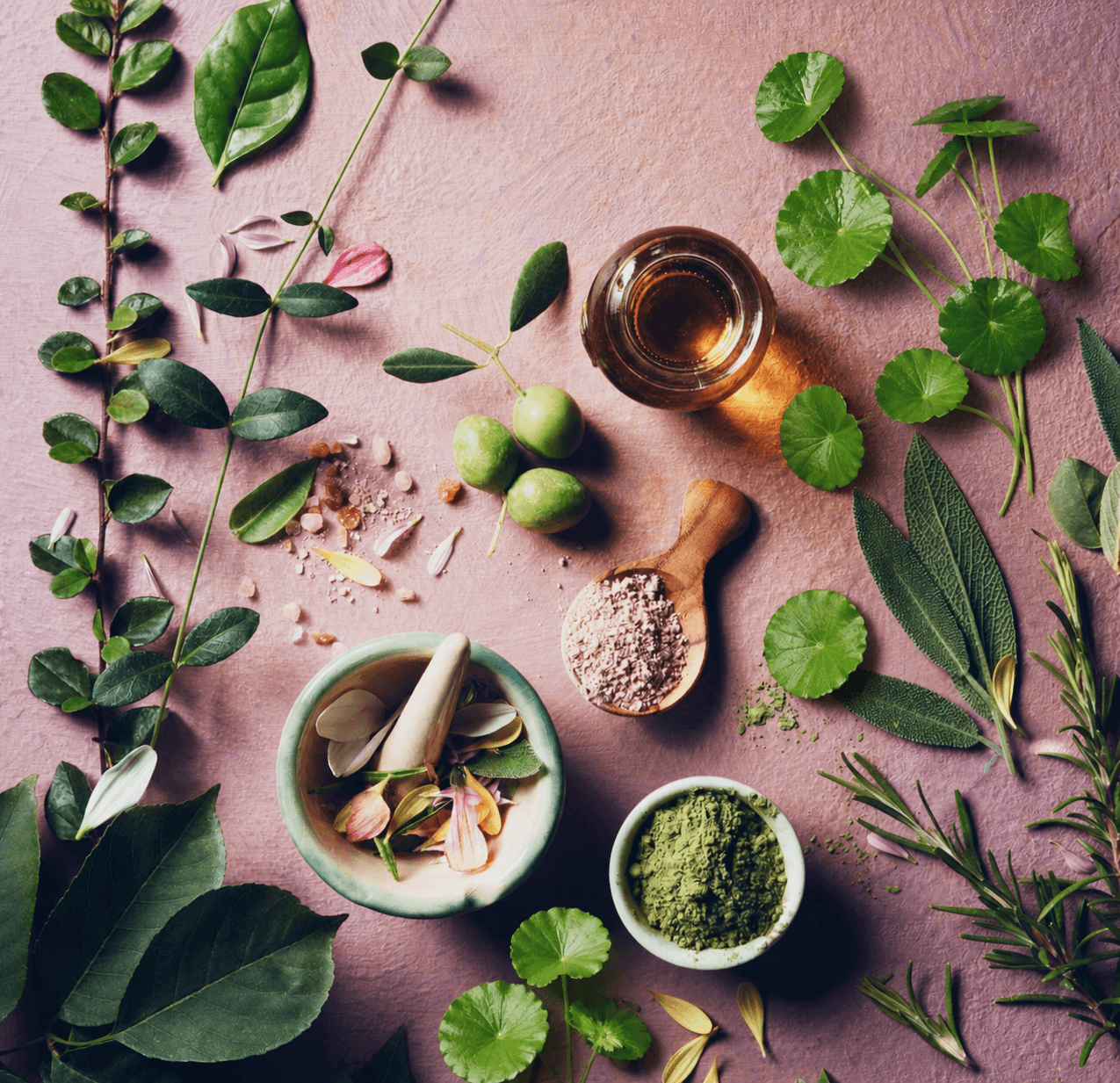 Fermentation in cosmetics: What fermented extract means and why it increases the efficacy of active ingredients