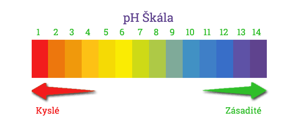Échelle de couleurs du pH de 0 à 14 — du rouge intense au jaune et au vert, jusqu’à la zone basique bleue.