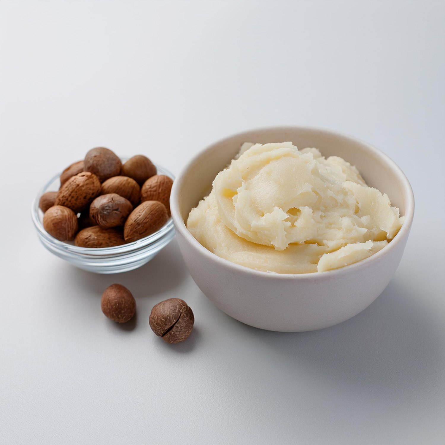 Blick auf eine Schale mit hellbeiger Sheabutter und Sheanüssen direkt neben der Schale. Schale und Nüsse stehen auf einem hellgrauen, nahtlosen Hintergrund.