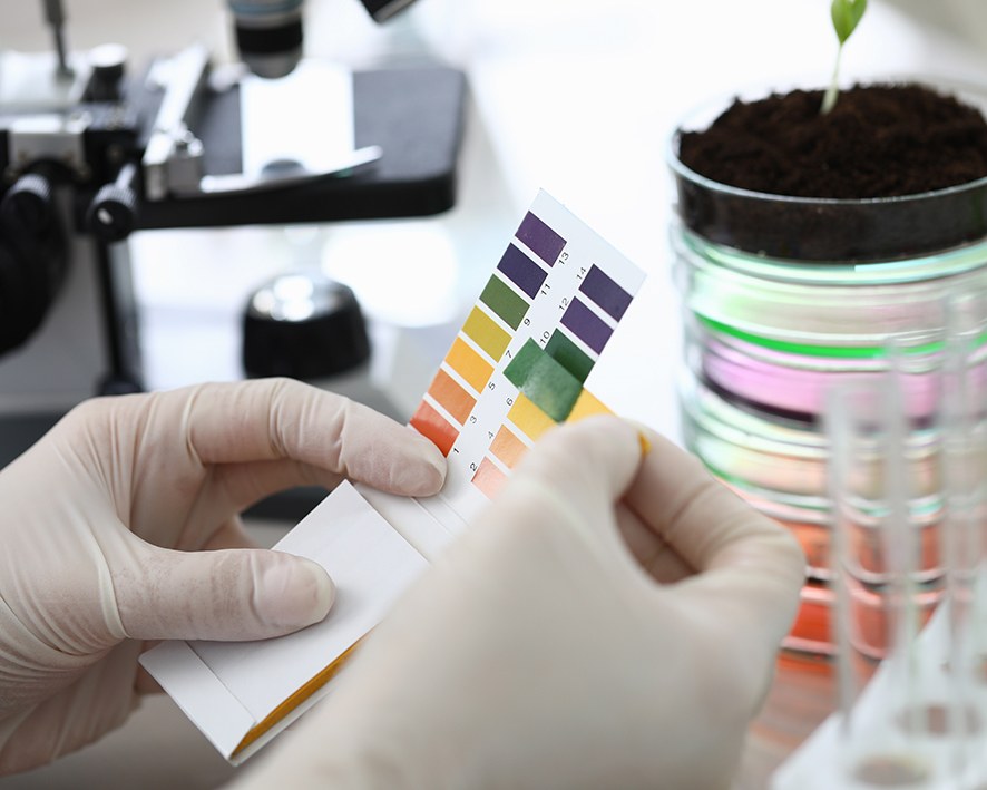Pomiar pH za pomocą papierków lakmusowych w białych rękawiczkach w studiu chemicznym.