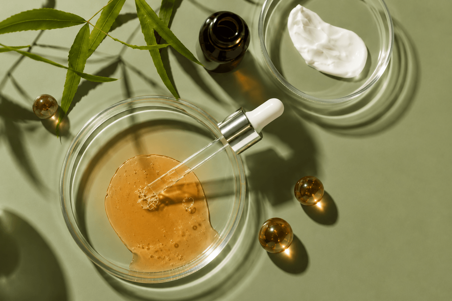 Növényi PDRN chlorellából – molekulaméret