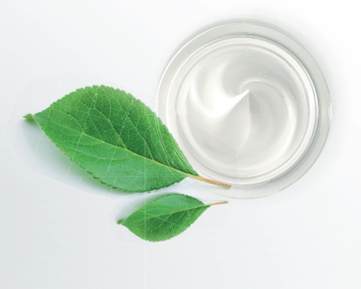 Vegeline petroleum jelly made of natural plant ingredients in a round jar with leaves on a white background.