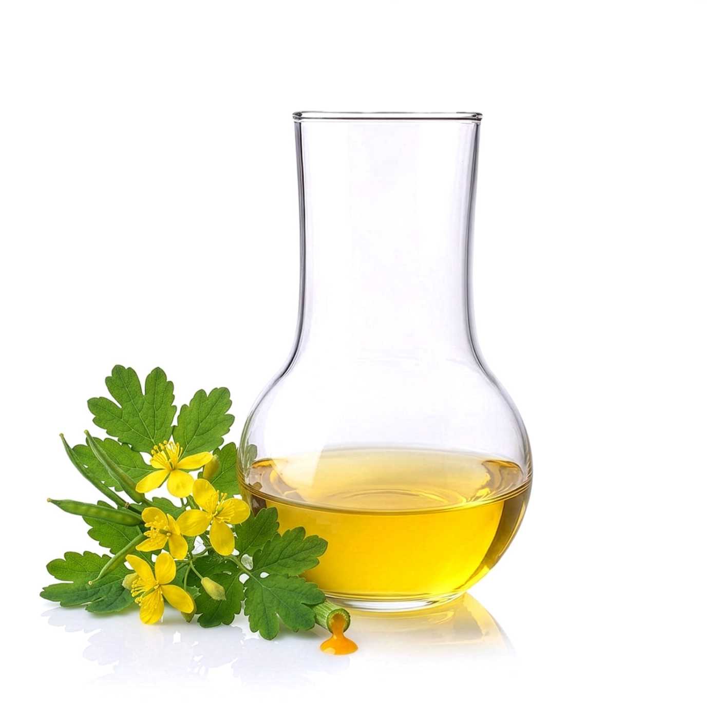 Aktívny lipoextrakt z lastovičníka väčšieho, 50 ml