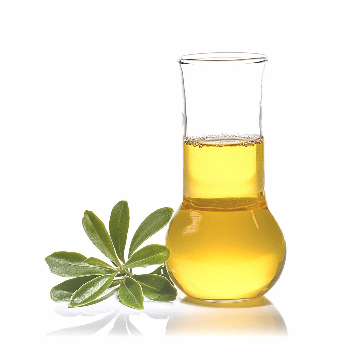 Ravintsara illóolaj 10 ml