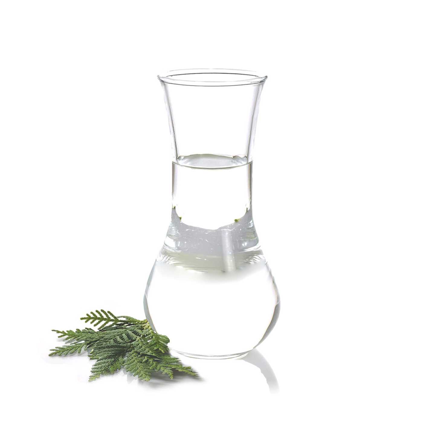 Esenciálny olej, Thuja Orientalis, 100 ml