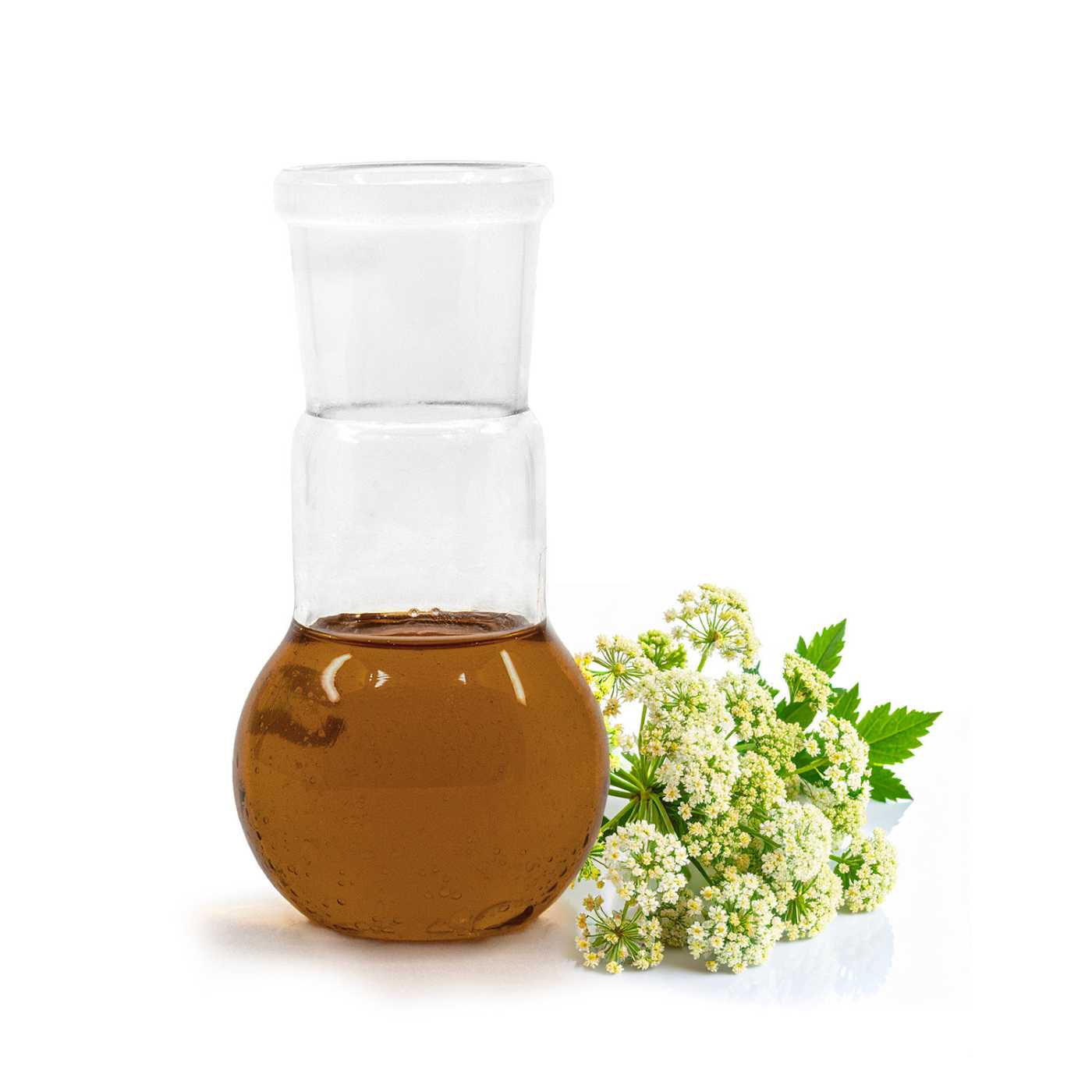 Esenciálny olej, valeriána, 100 ml