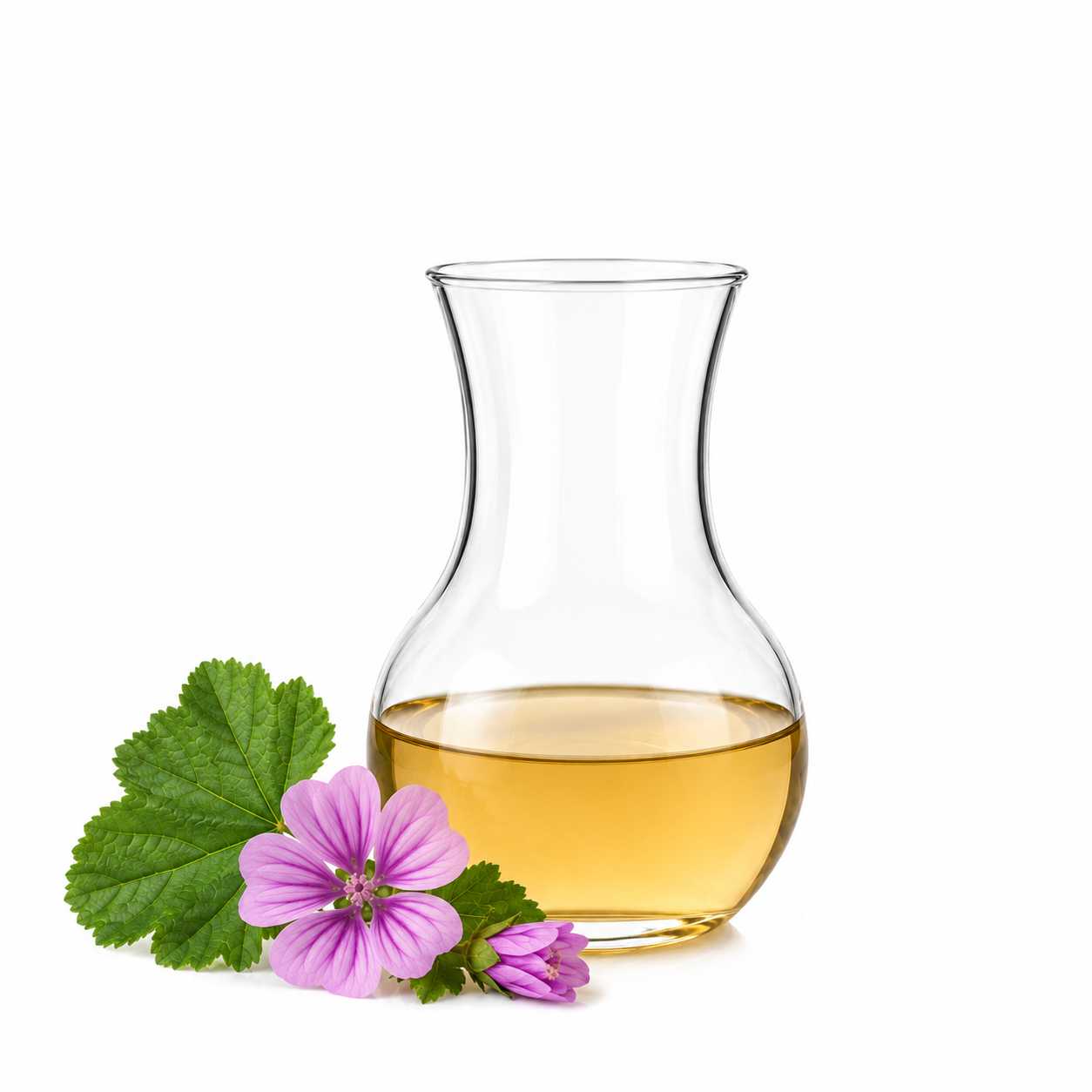 Aktívny vodný extrakt zo slezu BIO, 50 ml