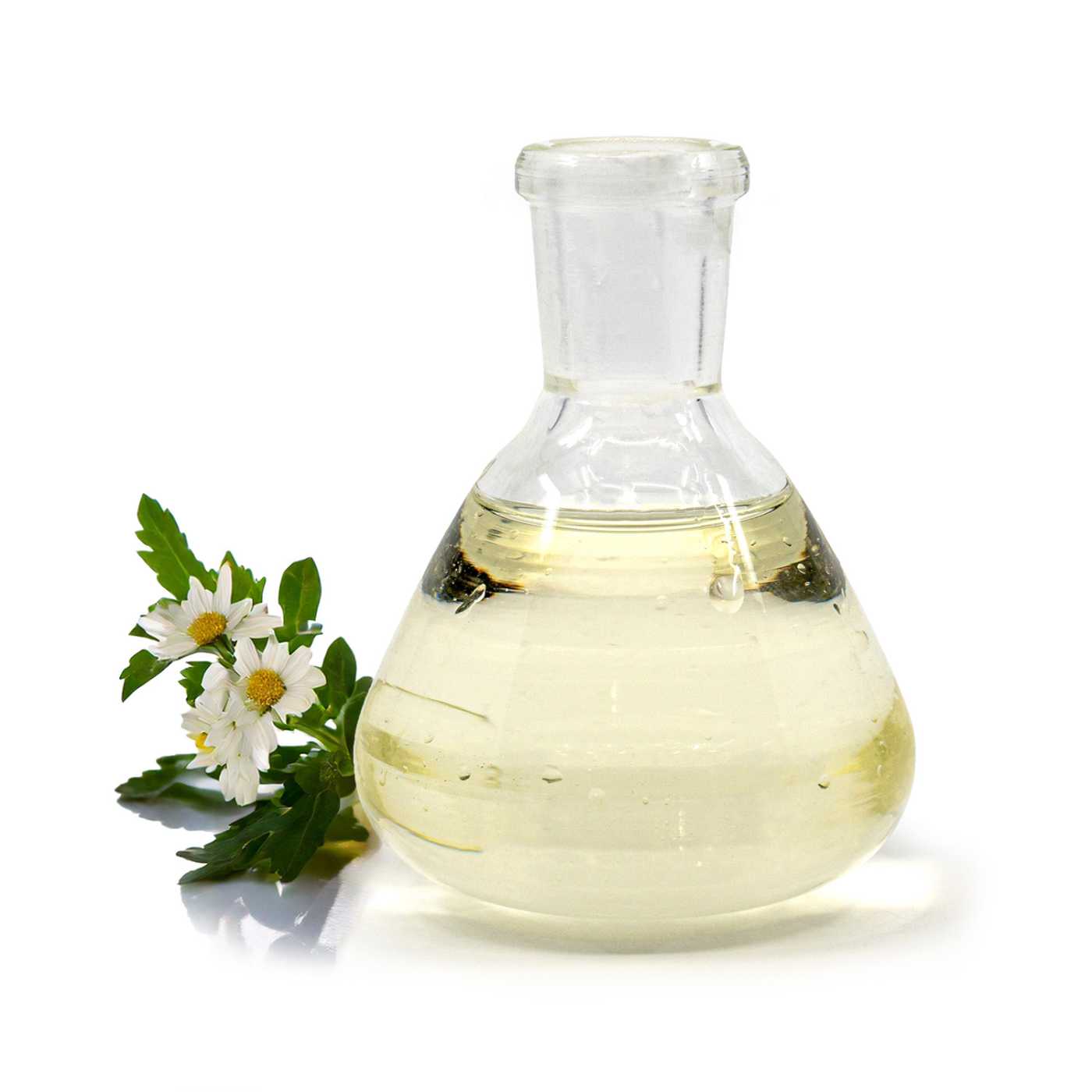 Harmanček, macerát v slnečnicovom oleji, 500 ml